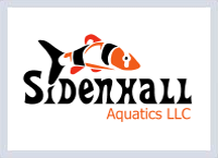 Logo2